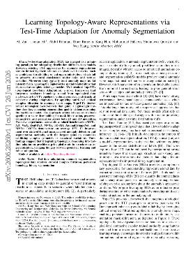 PDF preview for Learning Topology-Aware Representations via Test-Time Adaptation for Anomaly Segmentation