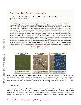 PDF preview for An Exam for Active Observers