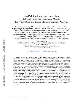 PDF preview for GigaPath-Flash and GigaTIME-Flash: Efficient Pathology Foundation Models for Whole-Slide and Tumor Microenvironment Analysis